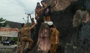 Wakil bupati Kobar, Ahmadi Riansyah dibantu beberapa staf protokol dan komunikasi Setda melepas kaos yang terpasang di salah satu patung orangutan. (Foto Ist)