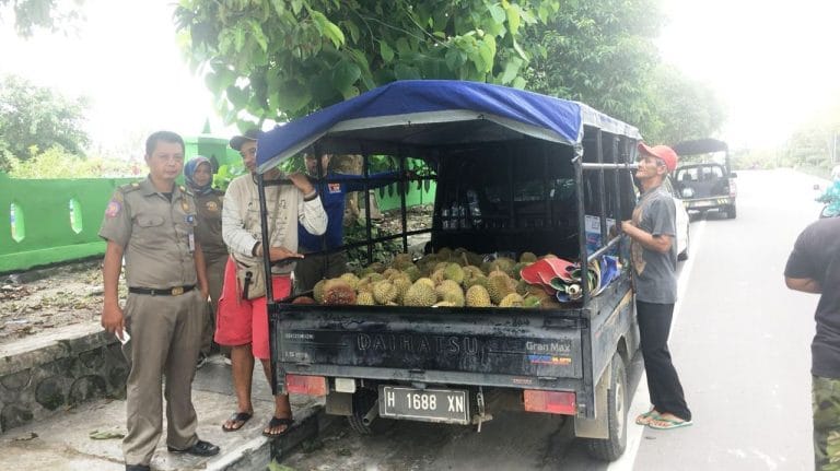 Satpol PP Kobar pedagang durian 2