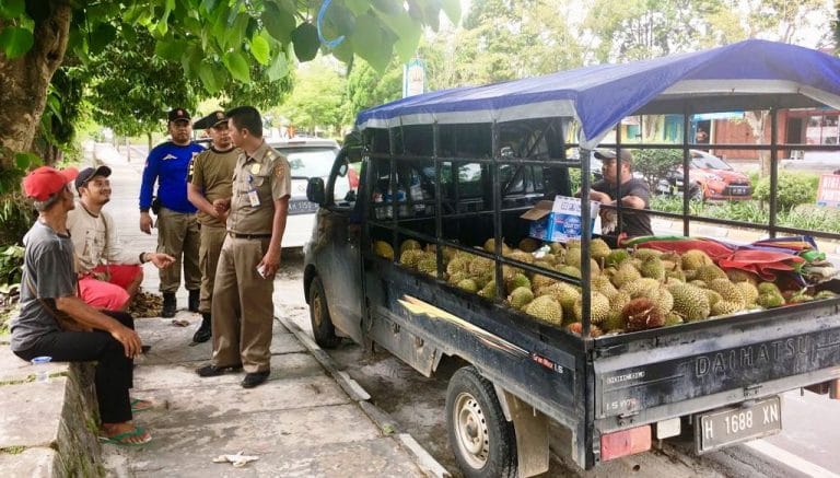 Satpol PP Kobar pedagang durian