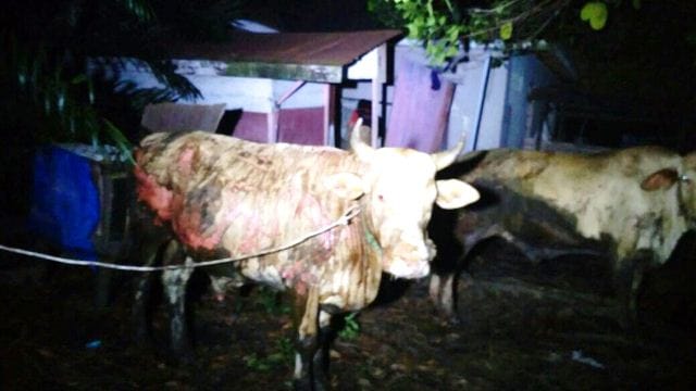 WhatsApp Image 2017-11-15 at 11.06.44