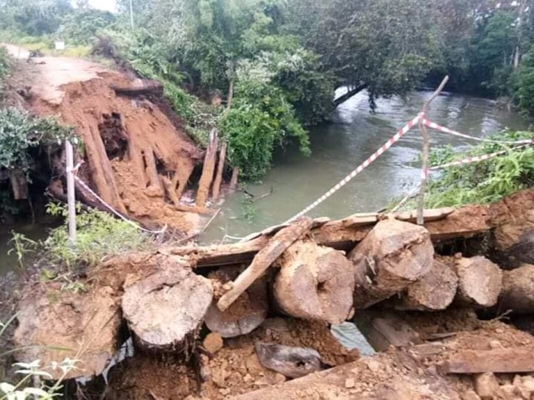 FB_IMG_15484177375352473