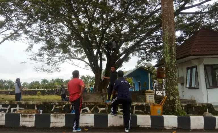 ConImage-jpg-1550808531