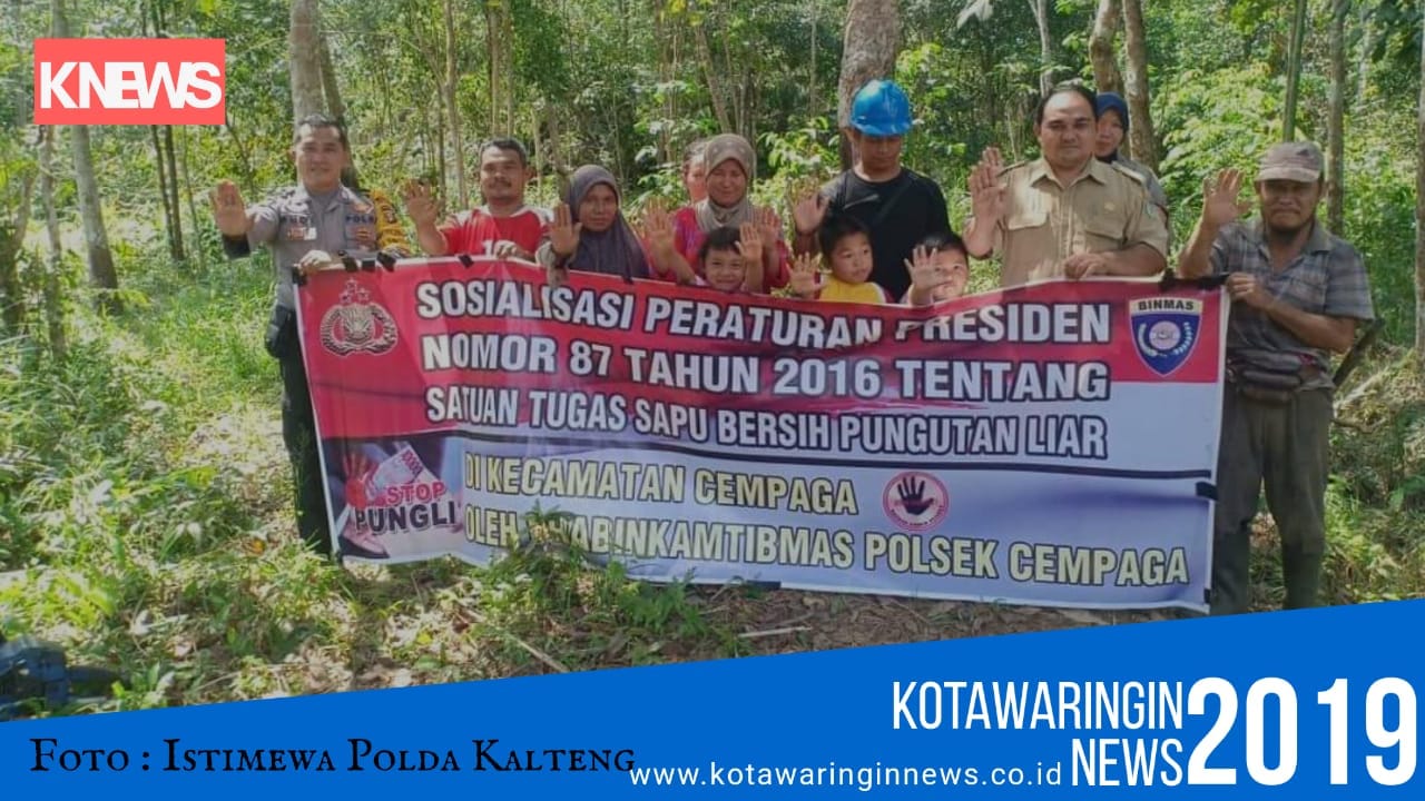 WhatsApp Image 2019-06-25 at 08.43.47