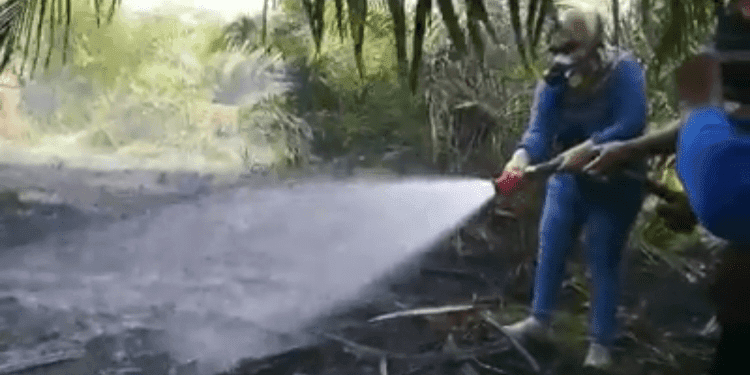 Bupati Kobar Hj Nurhidayah tengah menyemprotkan air ke lahan yang terbakar di Kelurahan Baru (Foto Istimewa)