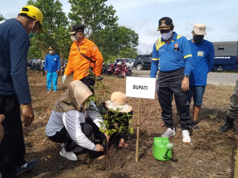 Bupati Kobar Hj Nurhidayah Hadiri Penanaman Seribu Pohon Dalam Rangka Hari Pohon Sedunia