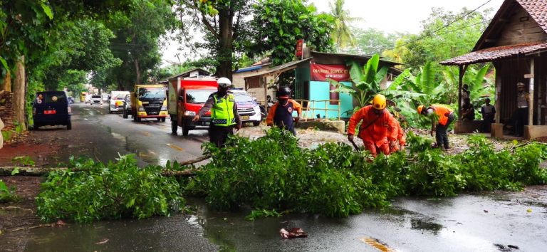 WhatsApp Image 2020-11-24 at 13.28.13(1)