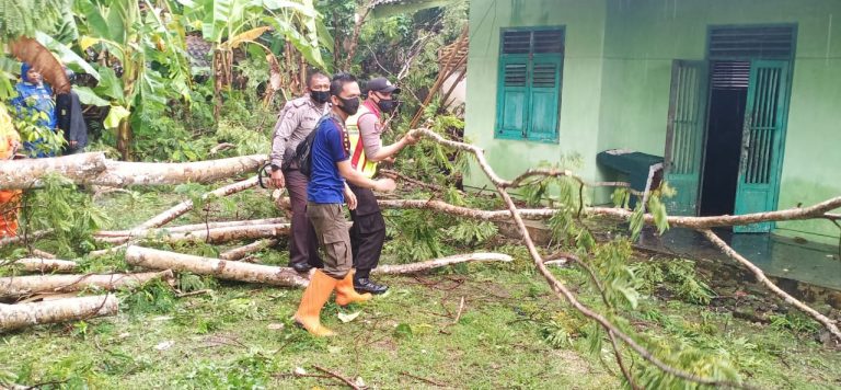Patroli Unit Sabhara Polsek Banjar dan Polsek Purwaharja Membantu Evakuasi Rumah Warga yang Tertimpa Pohon Tumbang