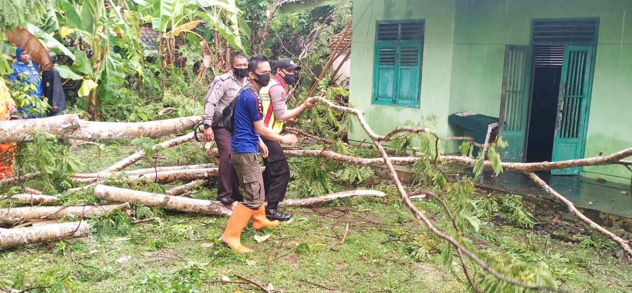 Patroli Unit Sabhara Polsek Banjar dan Polsek Purwaharja Membantu Evakuasi Rumah Warga yang Tertimpa Pohon Tumbang