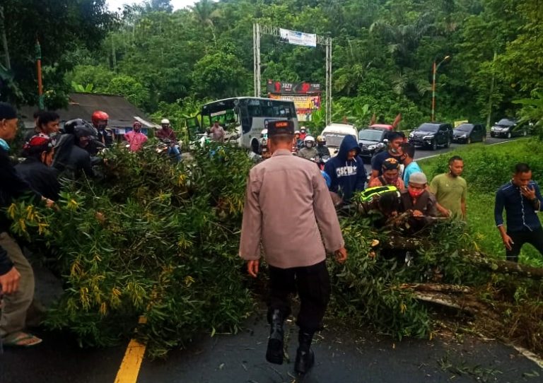 5e306ffa-623b-4766-b2ca-ddb2d50a1288