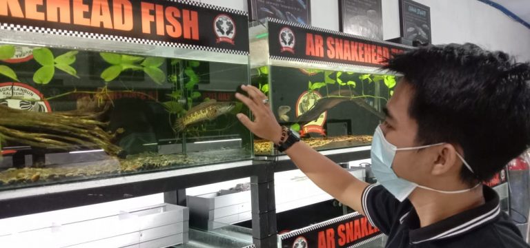 6dc02a2c-3a82-426c-95bf-d1dd655234df