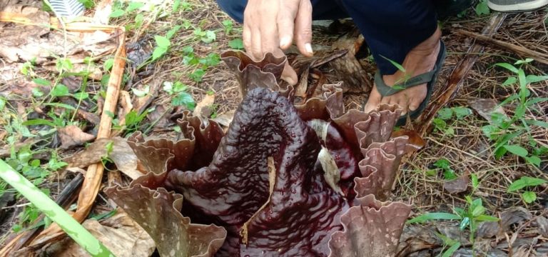 8c6ebc8e-ddea-4533-97f5-f7de189b1819