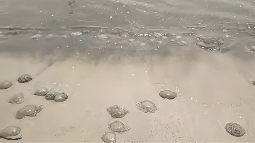 aee9f718-3c93-4e88-8f7f-549e2a2fd1b3