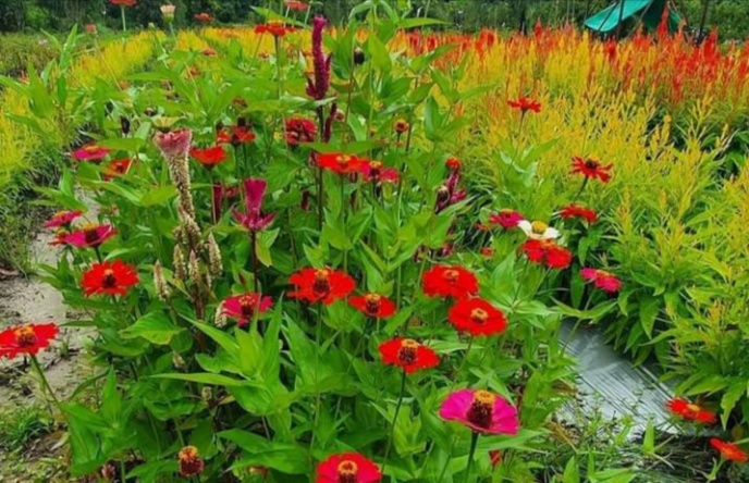 ff7fe822-d6f4-4f62-8ef8-bd6d4e6f591d