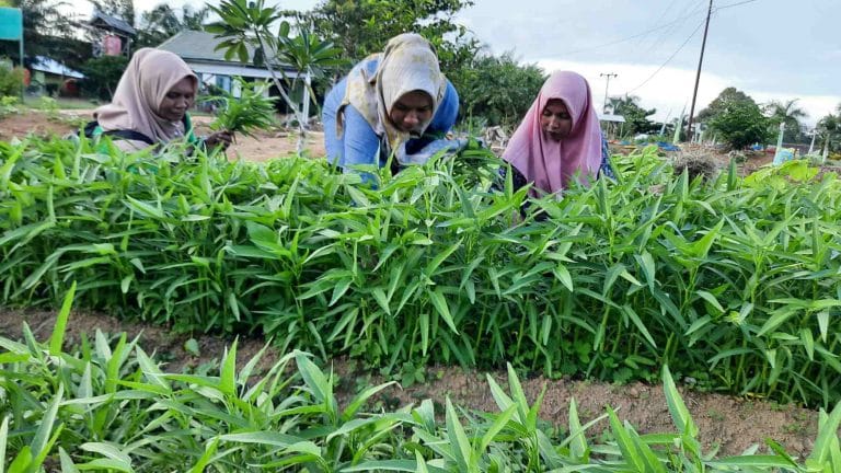 20200213_170249_compress40