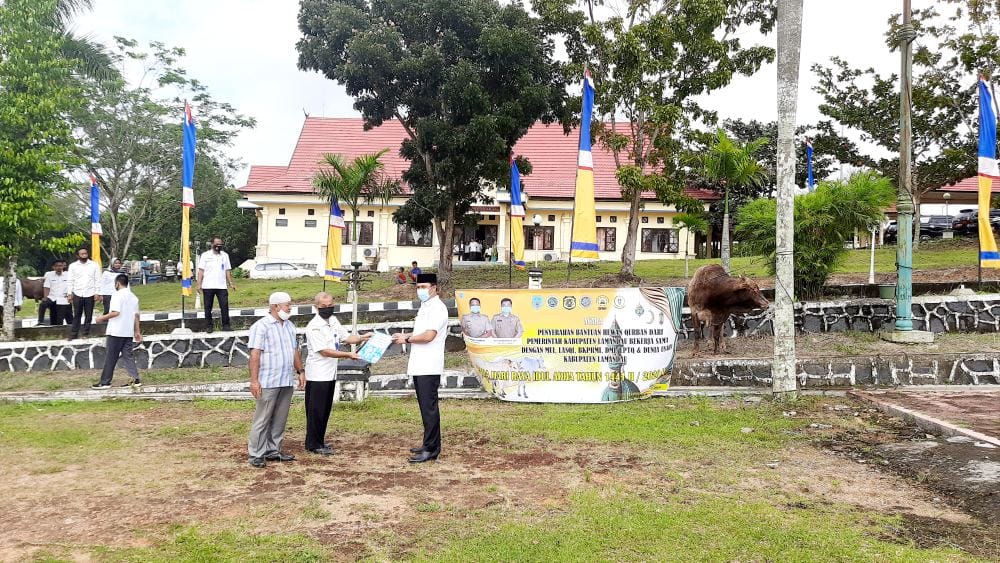 20200801_092145_compress73