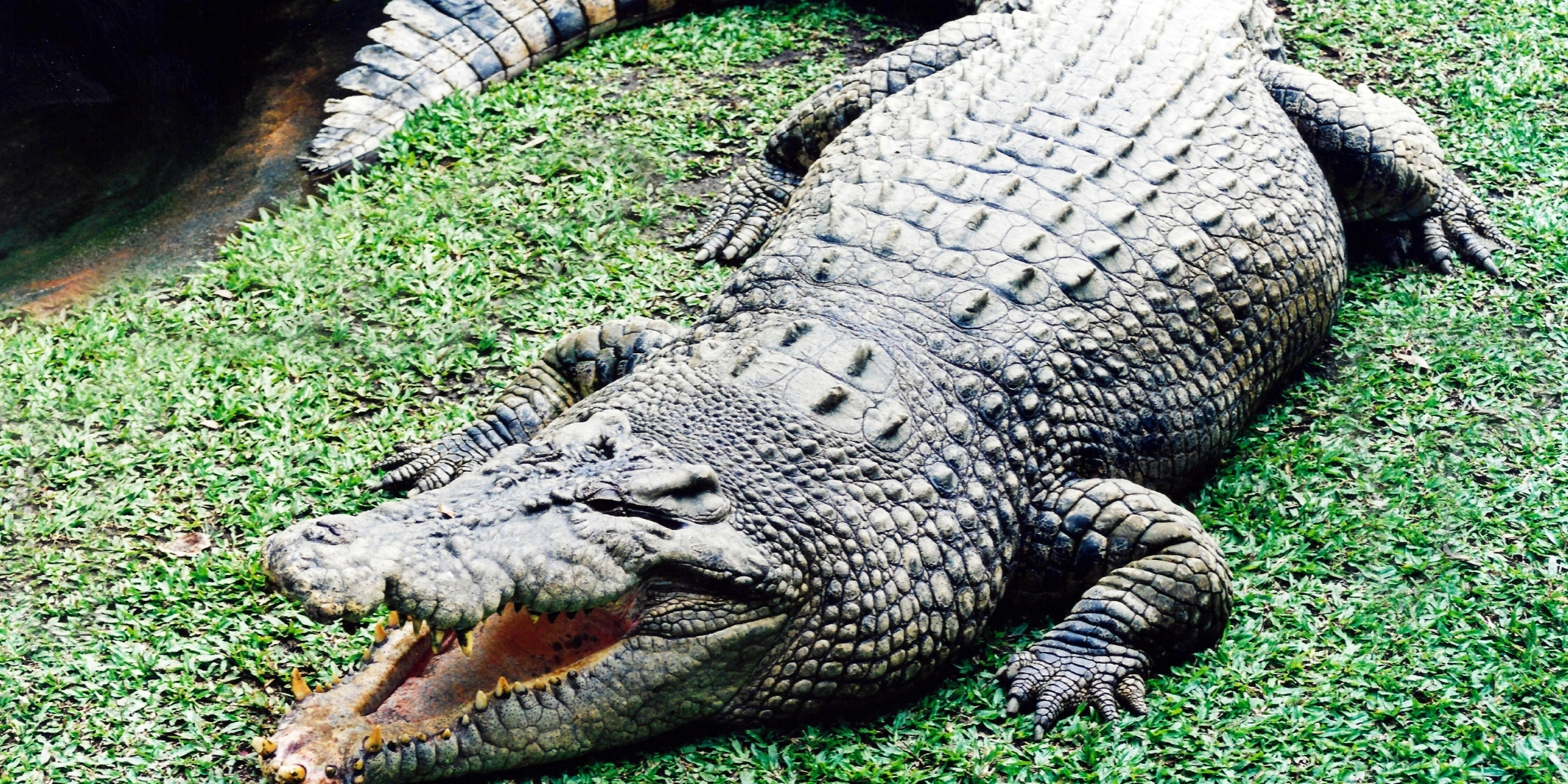 0001-15084843110_20210103_000619_0000