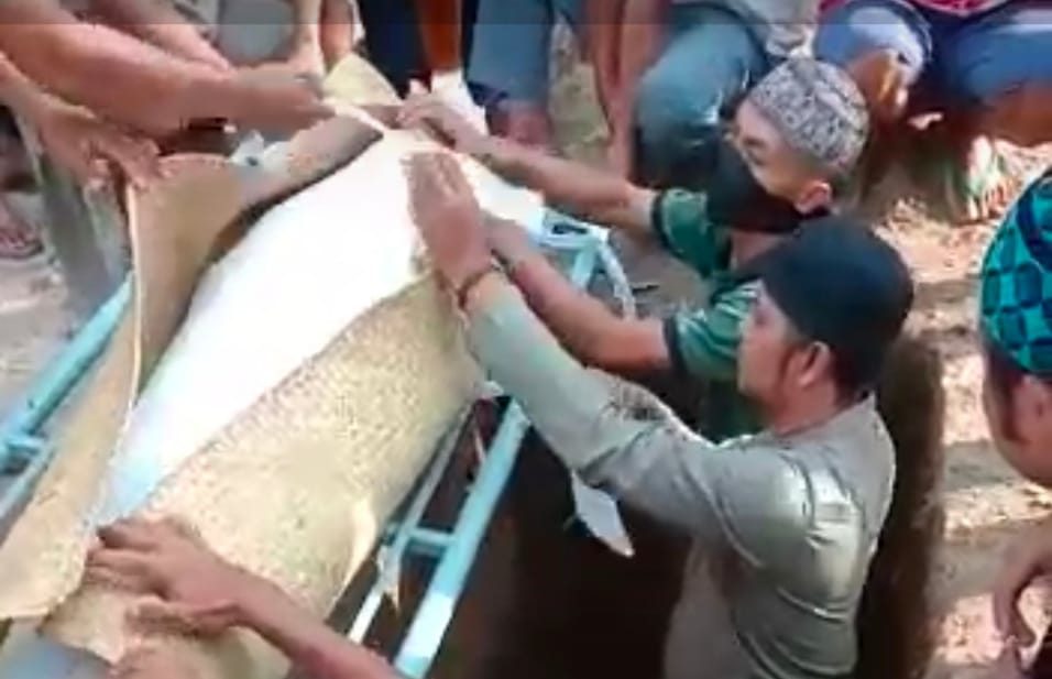 65f21384-4bec-4c19-9abb-2a9b8c05db78