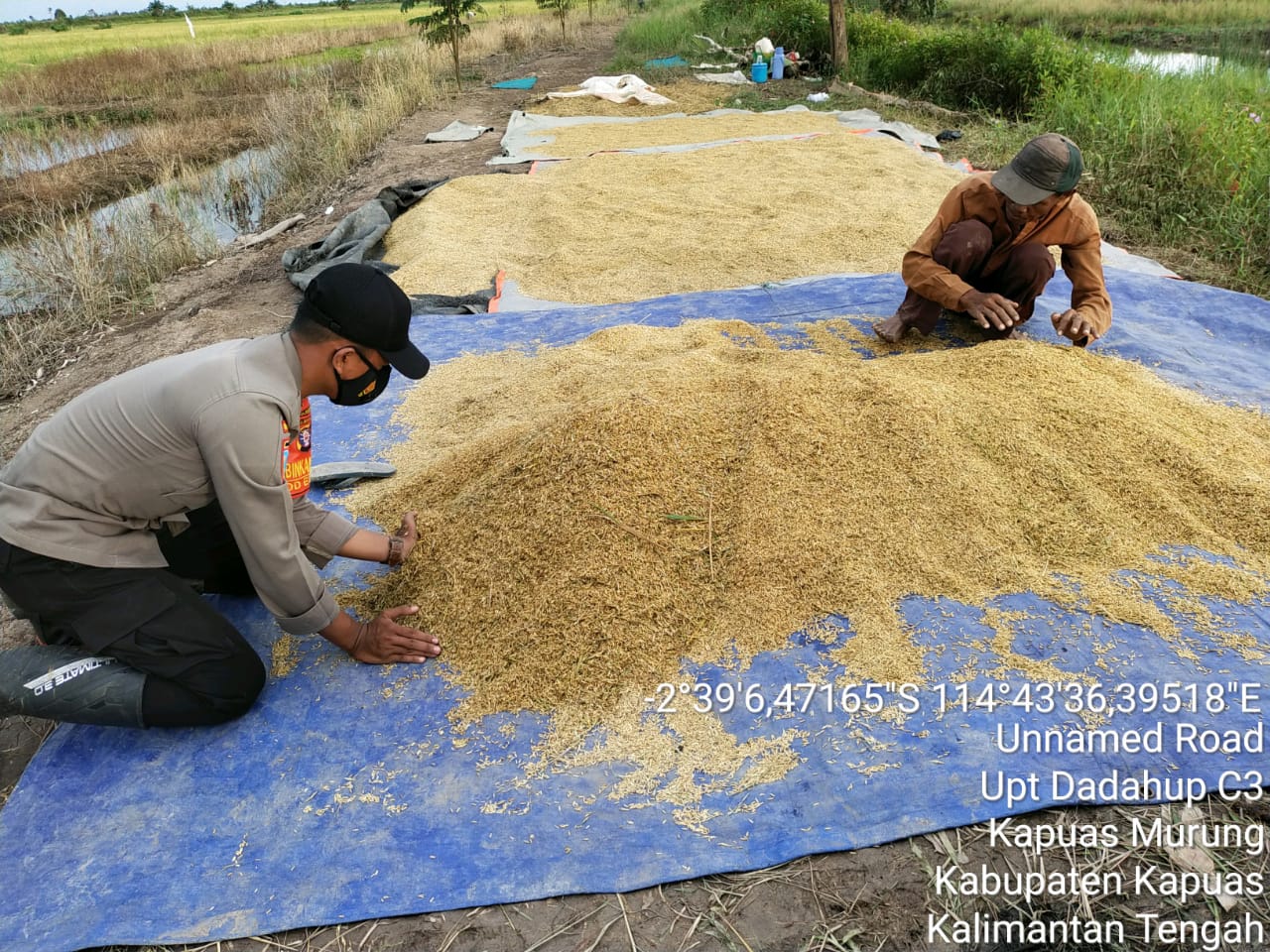 Bhabinkamtibmas Food Estate Polsek Kapuas Murung Laksanakan Sambang Desa Rawa Subur C3 Kec. Dadahup