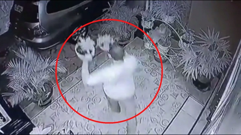 WhatsApp-Image-2020-10-09-at-17.20.34