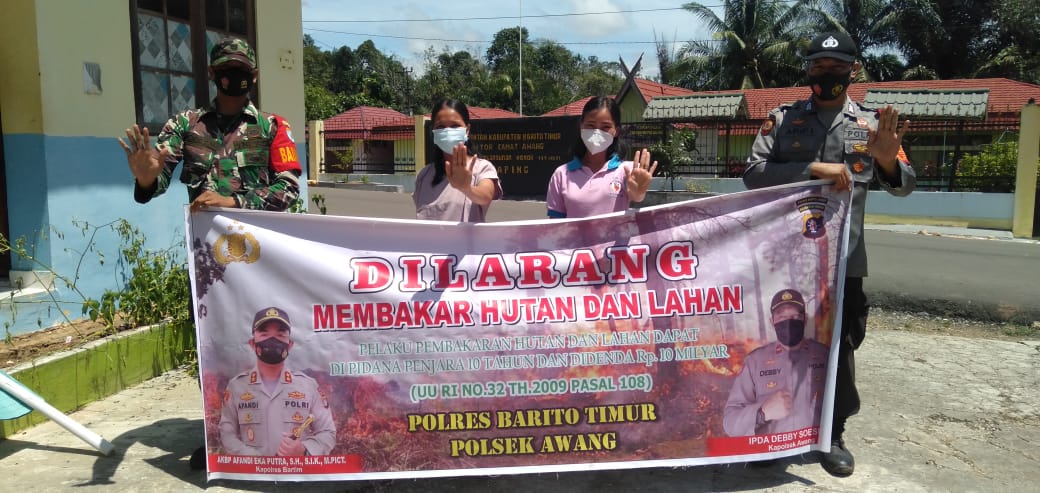 awang