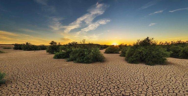 drought-1675729_960_720