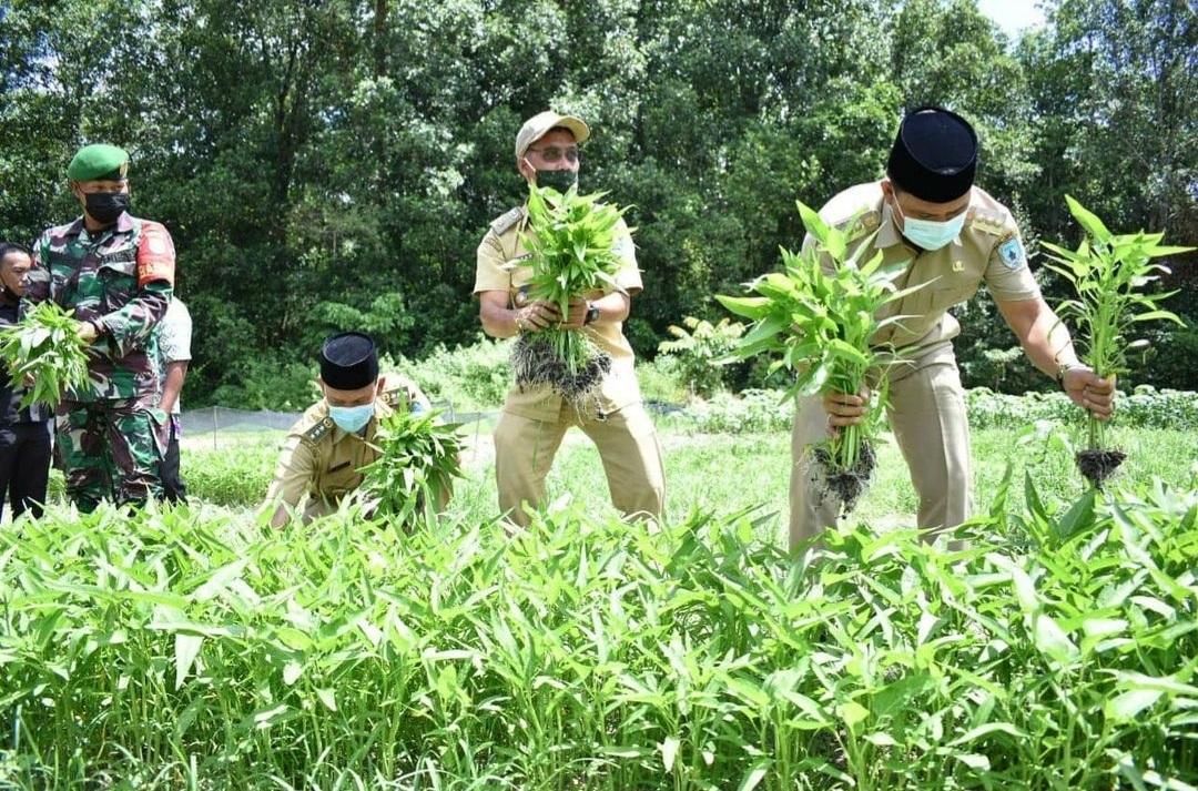 Screenshot_20210414-144618_Instagram