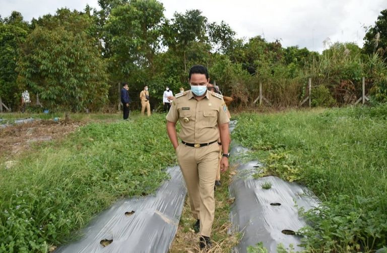 Screenshot_20210821-015446_Instagram