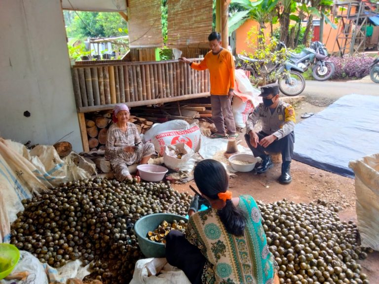 0d8119f5-a19d-439e-93e3-589b0385053b