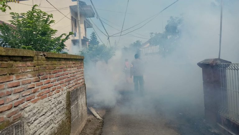 755a29ec-c325-46b5-a19b-23dd7b640030