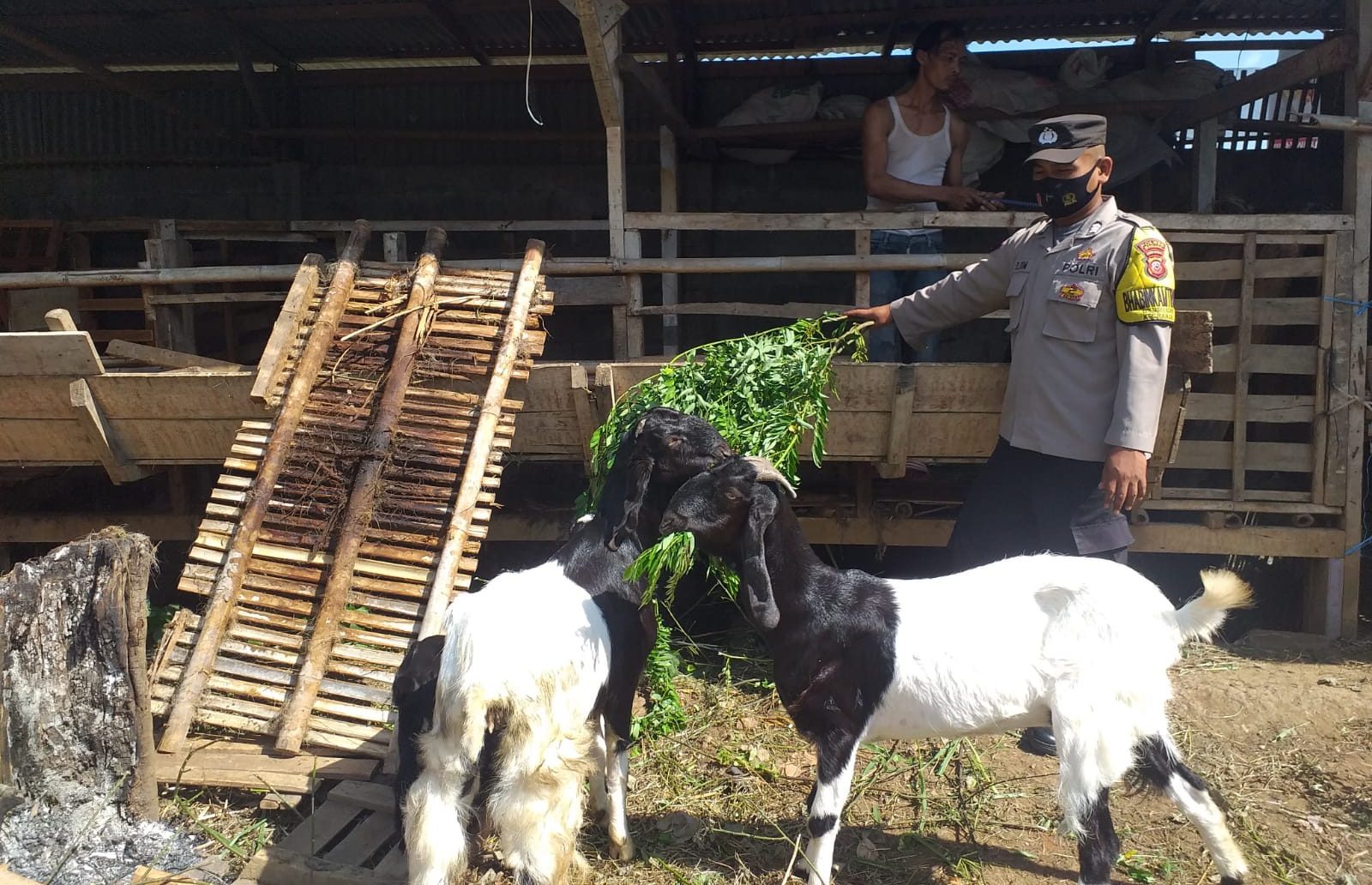 234c20b0-3988-4503-834b-87a40bddb9ce