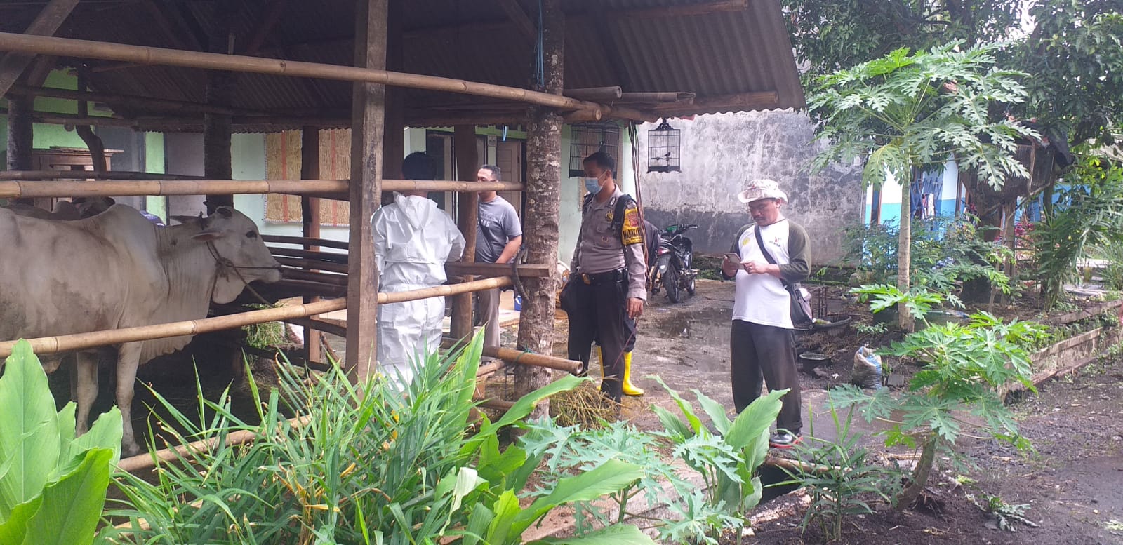 WhatsApp Image 2022-06-27 at 18.28.50