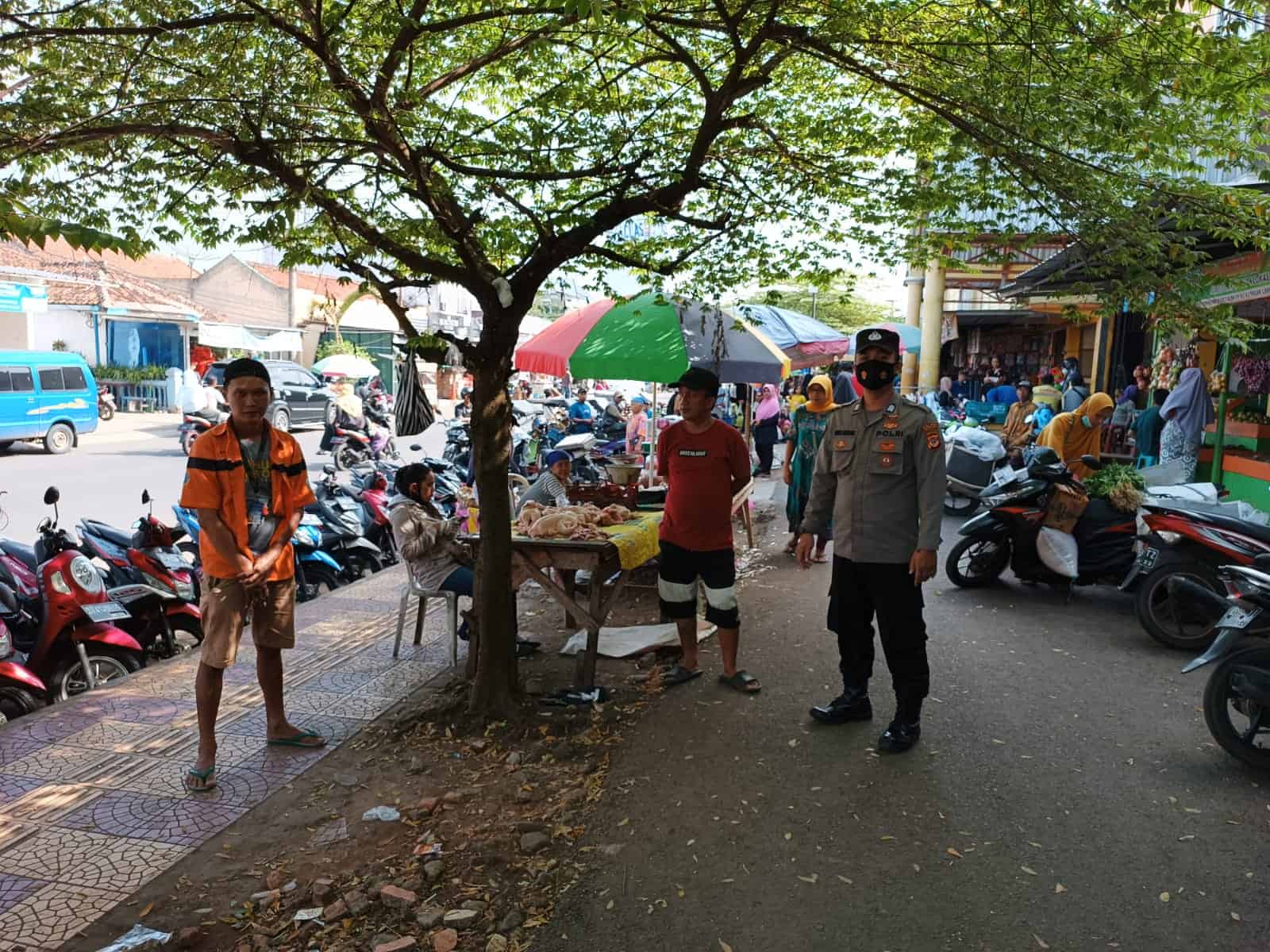 WhatsApp Image 2022-07-11 at 12.24.28