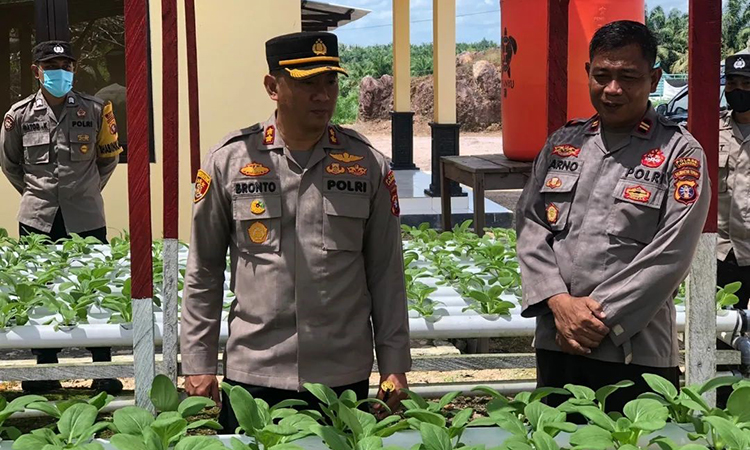 kapolres akbp bronto budiyono berada di demplot p2l bhayangkari sematu jaya