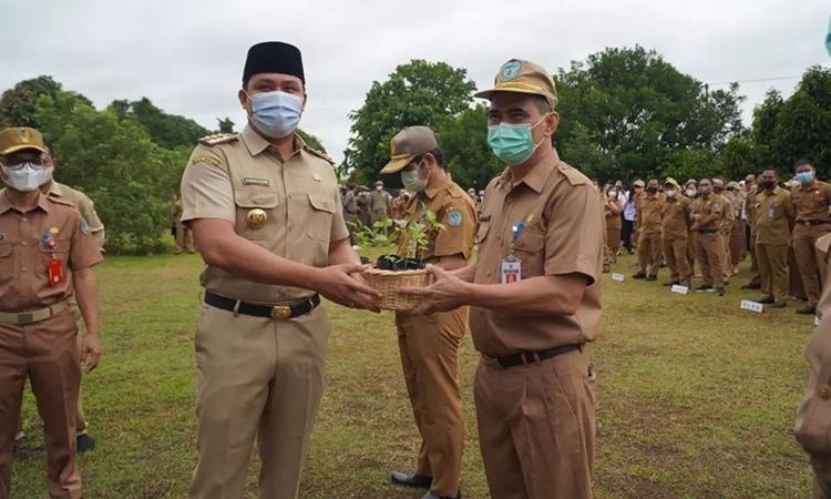 bupati hendra lesmana serahkan bibit cabe secara simbolis