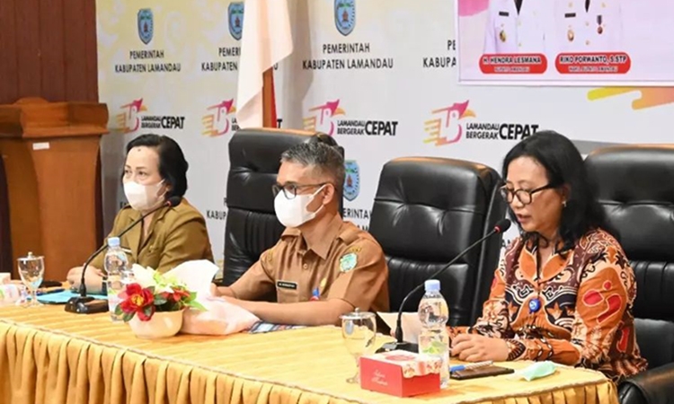 sekda muhamad irwansyah pimpin audit kasus stunting