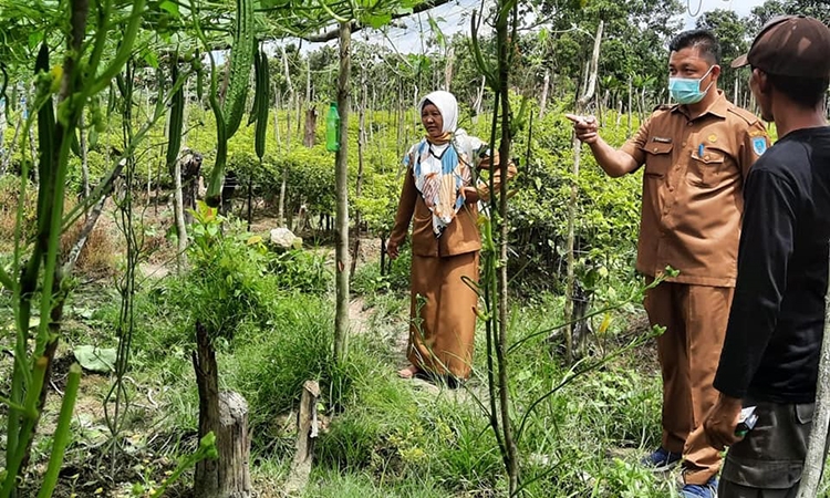 wakil bupati riko porwanto kunjungi pekarangan warga