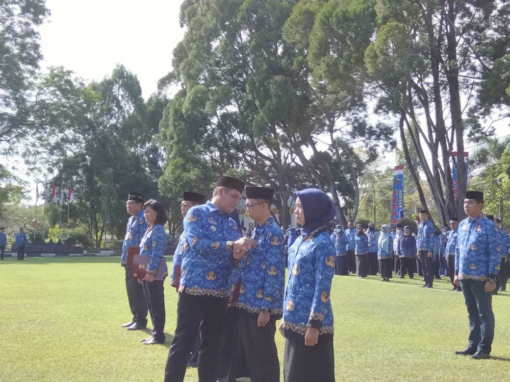 IMG-20221129-WA0156