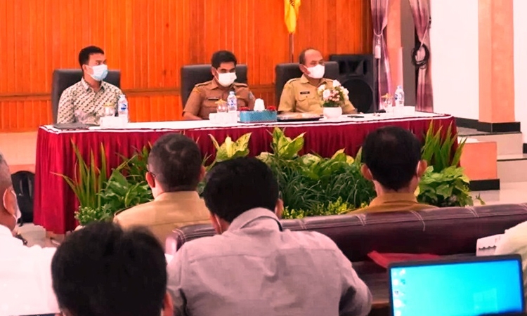 kegiatan sosialisasi aplikasi siinas