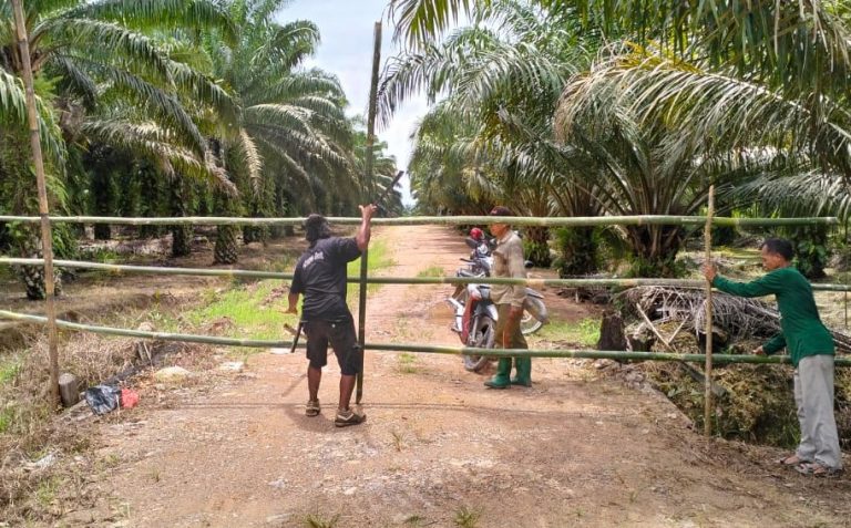 WhatsApp Image 2023-03-13 at 11.50.35