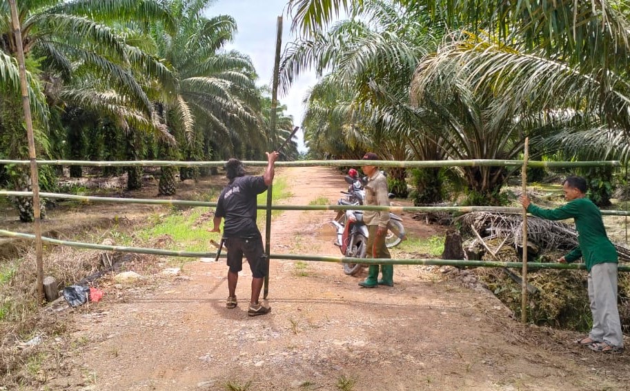 WhatsApp Image 2023-03-13 at 11.50.35