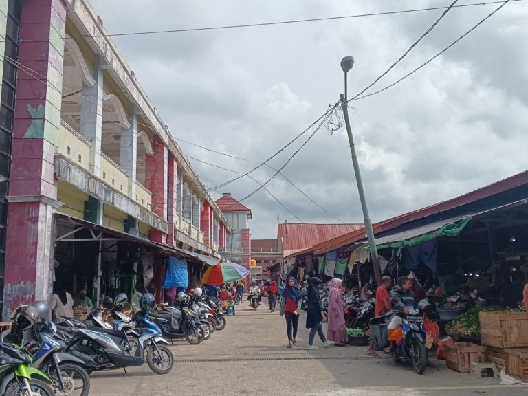 IMG_20231109_084606_813