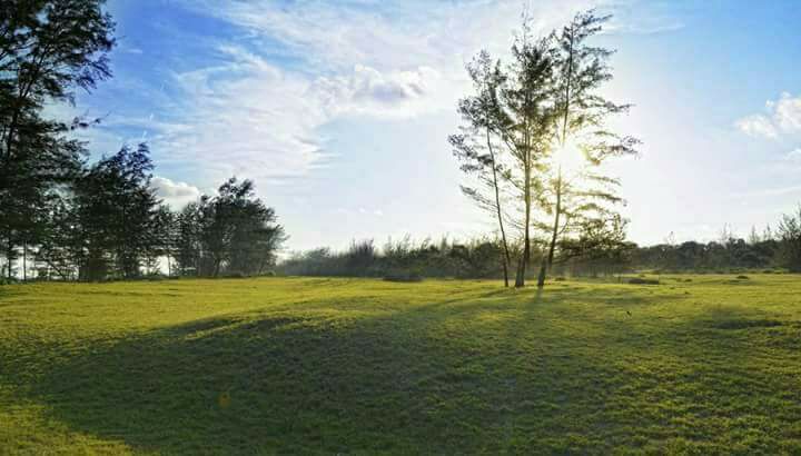 IMG-20240802-WA0003