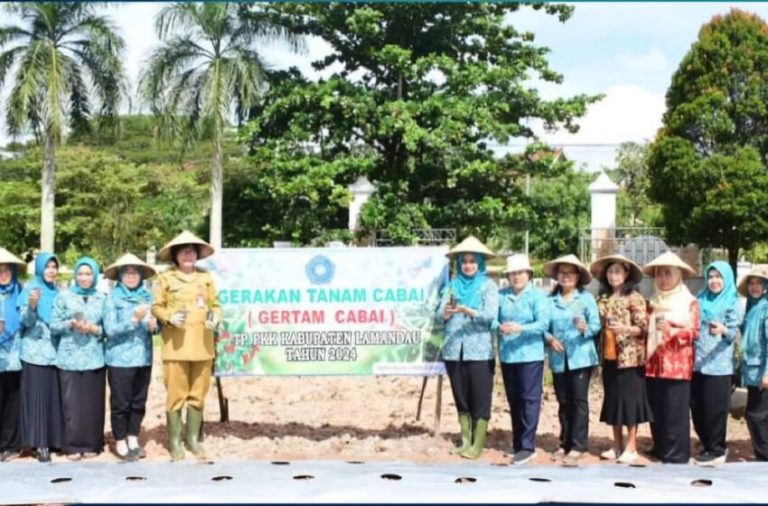 WhatsApp-Image-2024-07-17-at-12.49.11_a20a9ab2-850x560