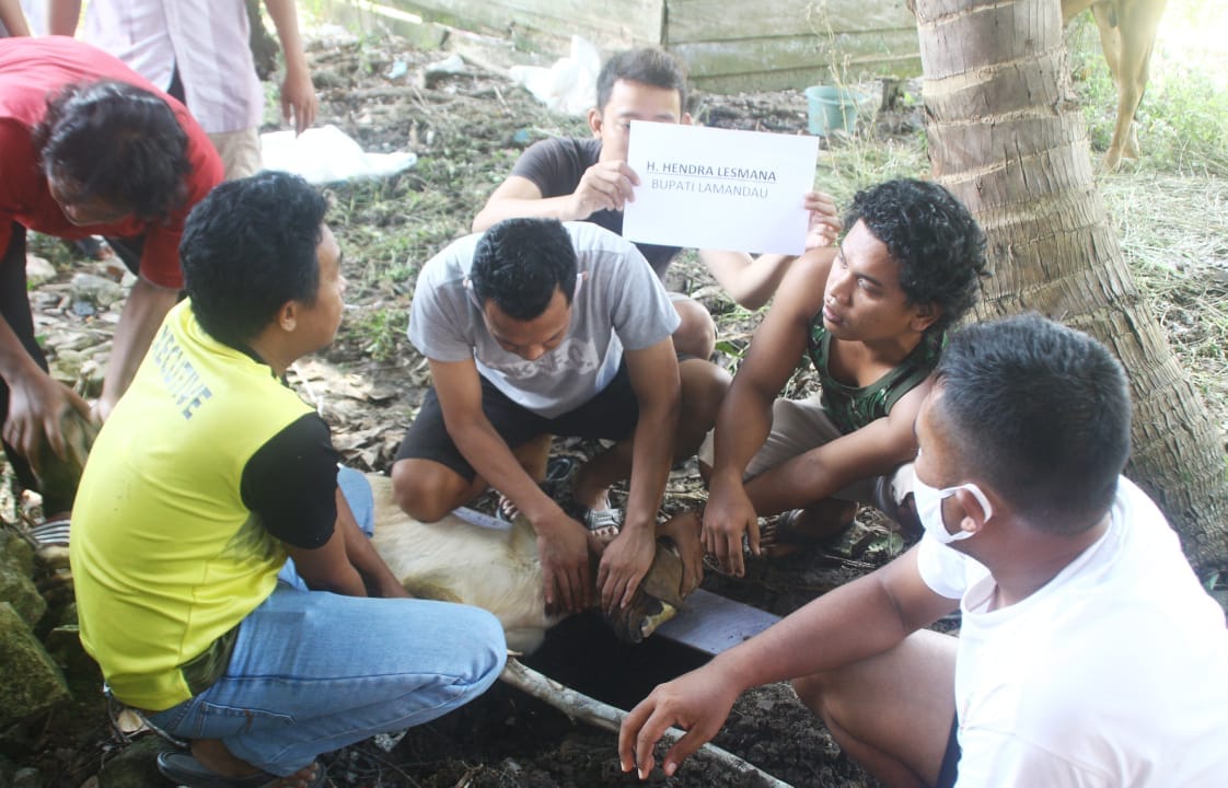 IMG-20200801-WA0007