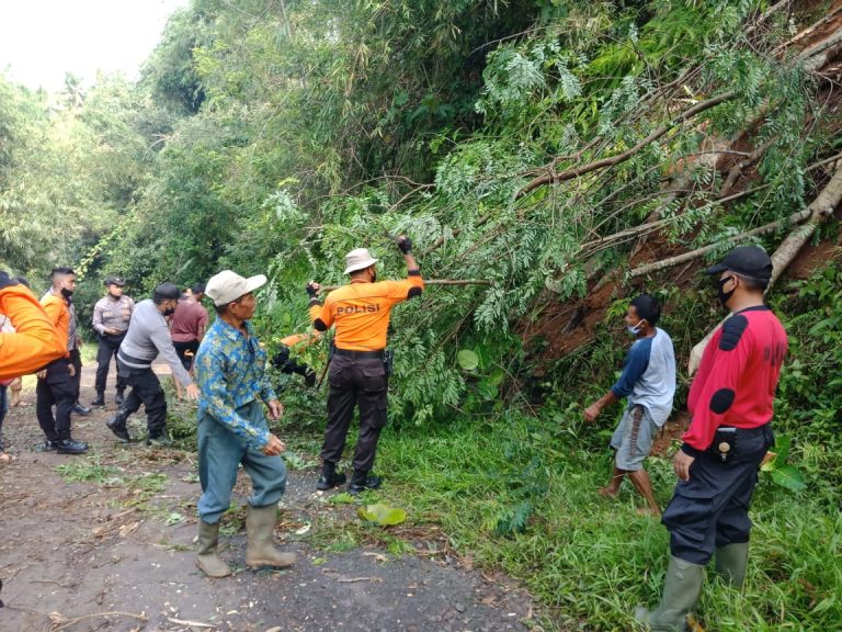 Bersama TNI dan BPBD, Personil Polres Banjar Tebang Pohon Yang Membahayakan Disekitar Pemukiman Warga