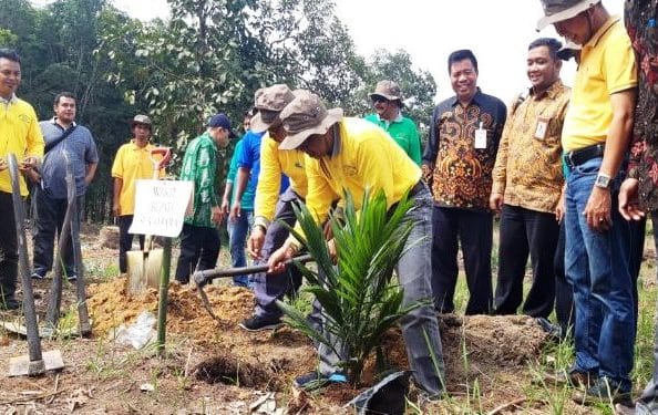 Replanting Sukamara