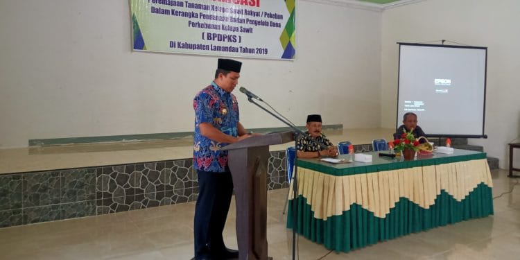 Sosialisasi Peremajaan Tanaman Kelapa Sawit Rakyat