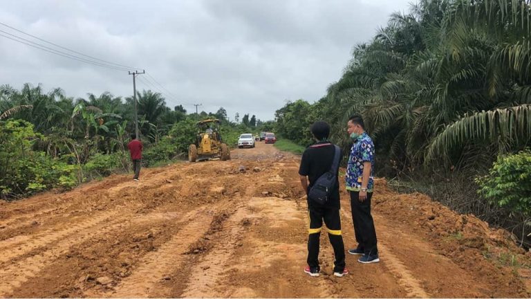 Wabup Monitoring Pengerjaan Peningkatan Jalan Desa Batu Kotam