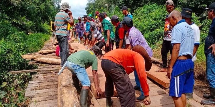 Warga Desa Tanjung Jaringau tengah bergotong royong perbaiki jembatan