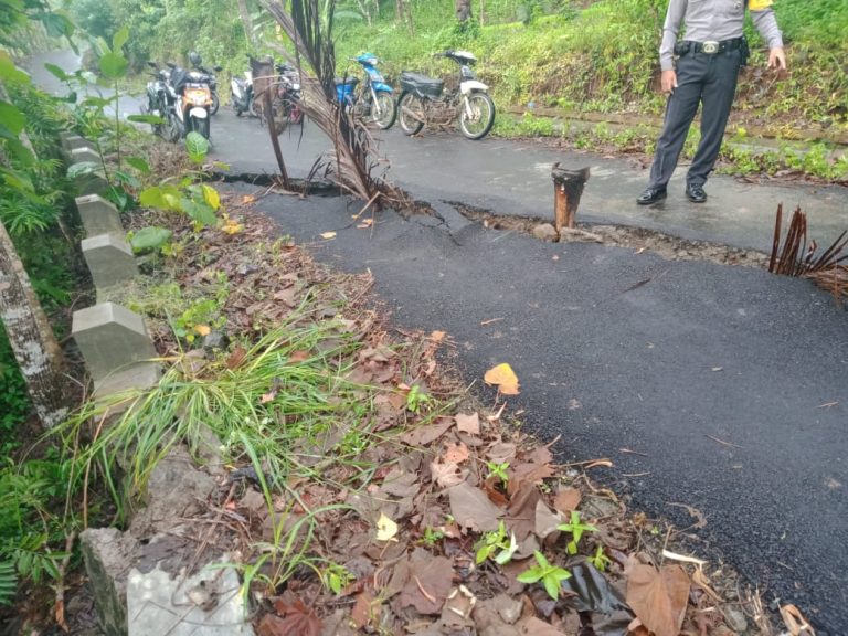 WhatsApp Image 2020-11-18 at 11.48.32 (1)